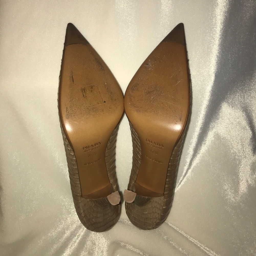 Prada Python Beige/Brown Pumps - image 7